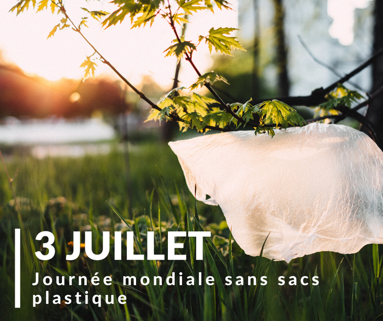 Journée mondiale sans sacs plastique 2020