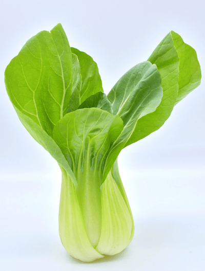 RECETTE : Chou baby bok choy braisé, petit épeautre et lentilles aux oignons et gingembre