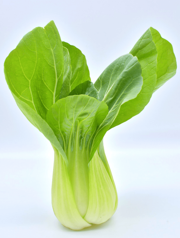 RECETTE : Chou baby bok choy braisé, petit épeautre et lentilles aux oignons et gingembre