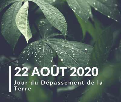 Dépassement des ressources 2020