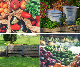 Recettes et astuces anti gaspillage alimentaire