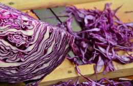 RECETTE : Salade fraîcheur d’inspiration japonaise