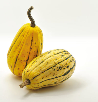 RECETTE : Frites de Delicata au paprika