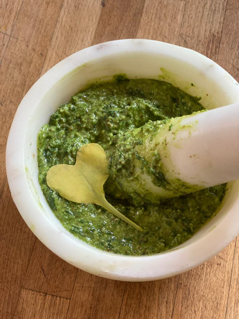 RECETTE : Pesto de fanes de radis