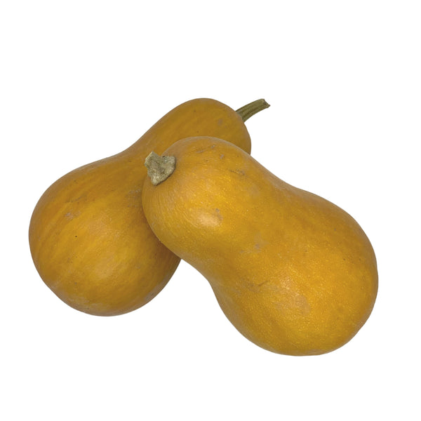 Butternut - Bio