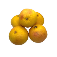 Pomelo Corse - 1 Kg Bio