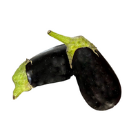 Aubergines - 1kg - Bio