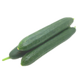 Concombre - Bio