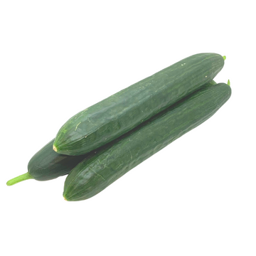 Concombre - Bio