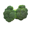 Brocoli - 500g - BIO