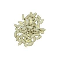 Haricots Blancs Bio