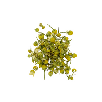 Camomille Pour Infusion Bio