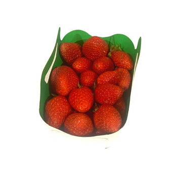 Fraises - barquette - BIO