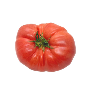 Tomates rondes -1 kg - Bio